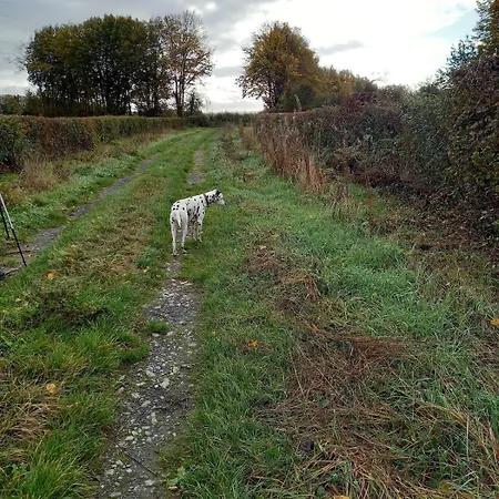 Du Baty Neuve-Maison