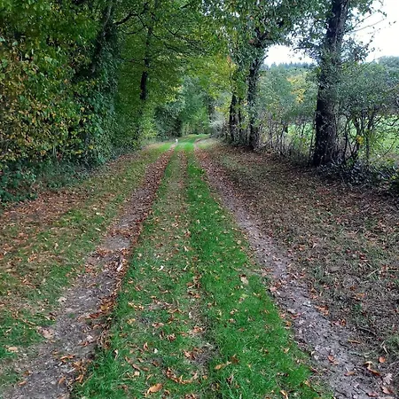 Du Baty Neuve-Maison