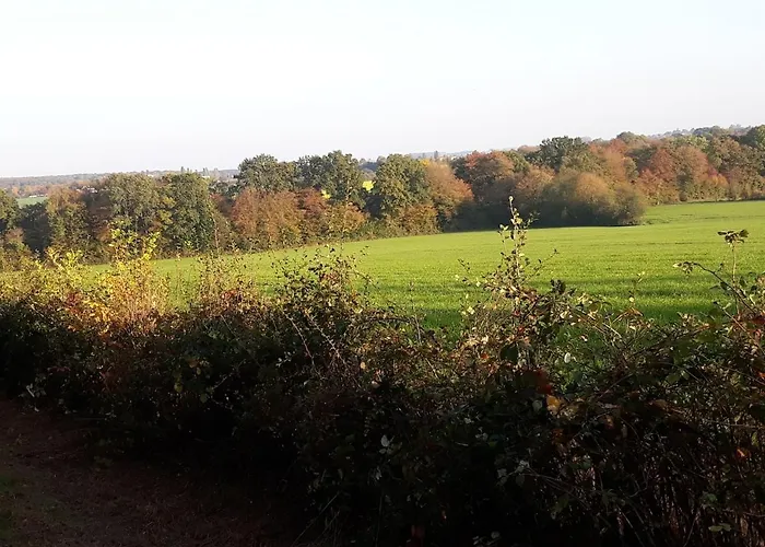 Du Baty * Neuve-Maison