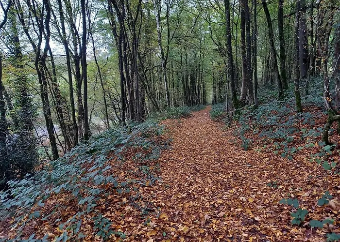 Апартаменты Du Baty