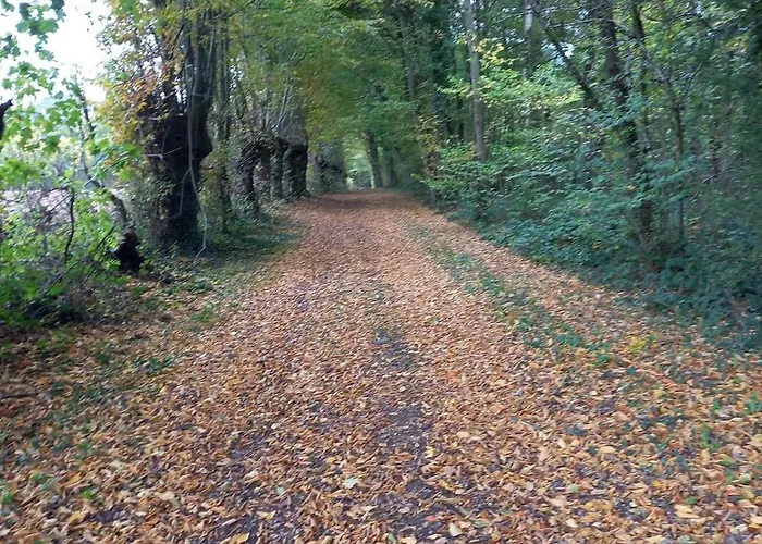 Du Baty * Neuve-Maison