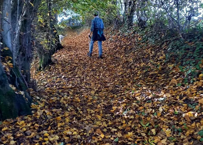 Апартаменты Du Baty