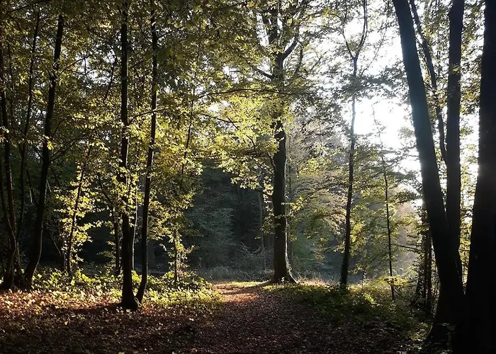 Du Baty Апартаменты *