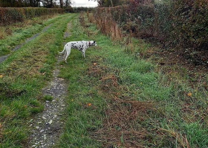 Апартаменты Du Baty